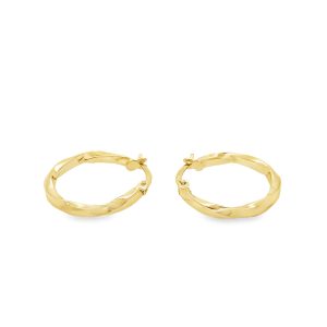 9CT GOLD EARRINGS - GE220278